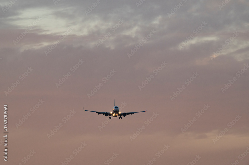 Fototapeta premium Plane Gliding Through Painted Twilight Skies