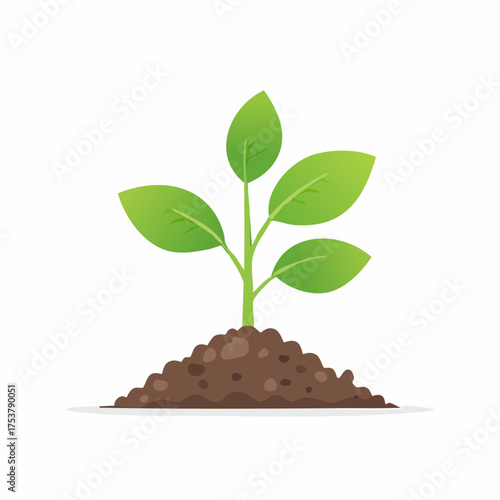 A young plant sprout with vibrant green leaves growing from rich soil, symbolizing growth and new beginnings