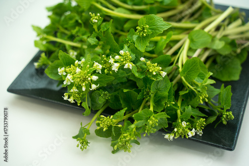 花わさびの皿盛り
