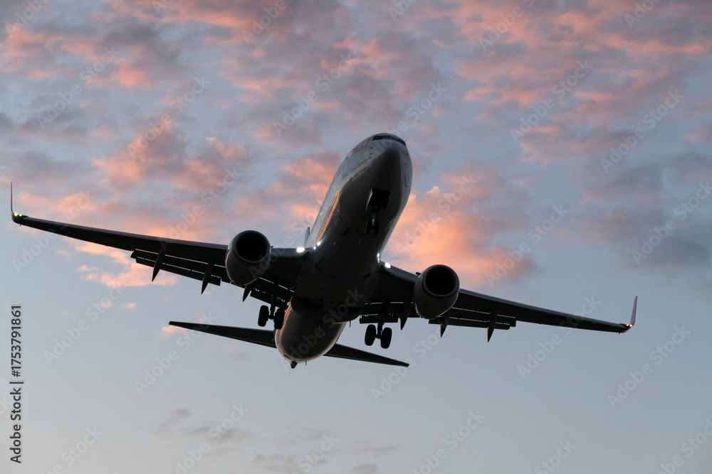 Naklejka premium Airplane Landing in Vibrant Evening Colors