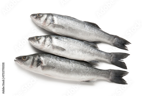 Uncooked seabass fish isola...