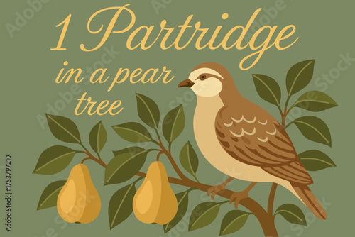 Partridge in a pear tree. The twelve days of Christmas. English Christmas carol. First day. Vector vintage illustration