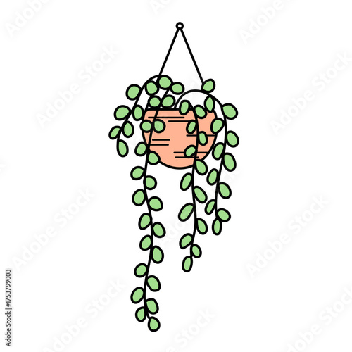 ナチュラルな吊り鉢からつる植物が垂れ下がる観葉植物のベクターイラスト｜癒しの空間やボタニカルデザインに映えるグリーンインテリアのイメージ