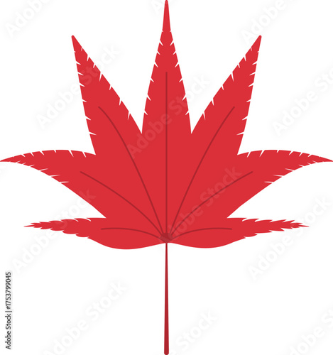 가을-단풍-낙엽-단풍잎-잎-나뭇잎-단풍잎-붉은-잎맥