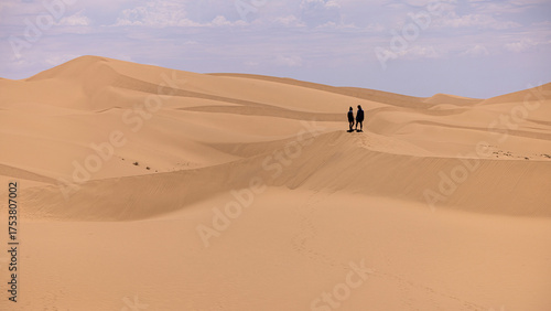 Fototapeta Naklejka Na Ścianę i Meble -  couple walking on the sand dunes