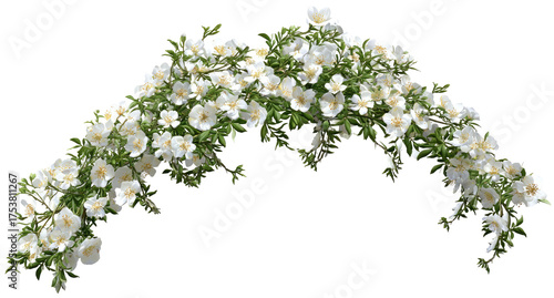 A decorative archway of white flowers and greenery