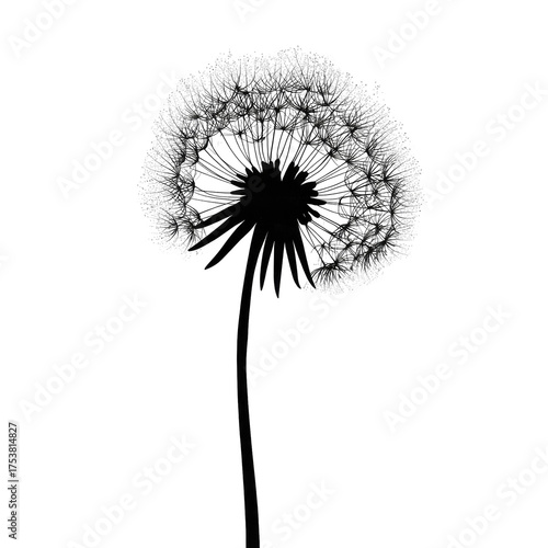 Wallpaper Mural Close-up grayscale image of a dandelion seed head.  Soft, feathery seed-heads radiate outward from a dark central core.   Torontodigital.ca
