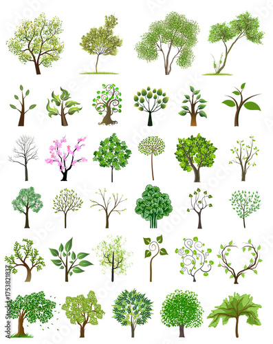 collection of trees