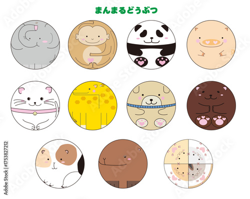 まんまるanimals_cs