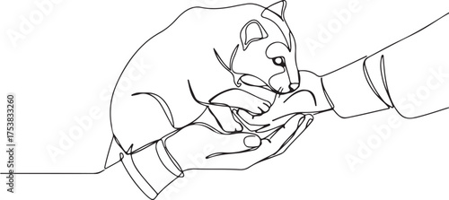 Minimalist continuous line drawing depicting hands cradling a small cat or animal cub, representing concepts of protection, tenderness, and animal welfare