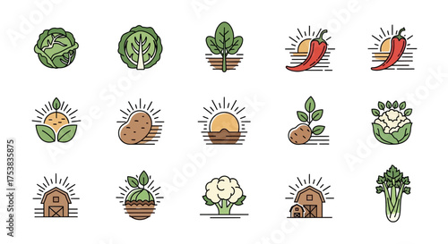 A collection of fifteen vector icons representing various vegetables, including cabbage, spinach, potato, pepper, and cauliflower, with sun and barn elements.