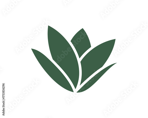 Agave plant, green leaves, succulent silhouette Vector Illustration