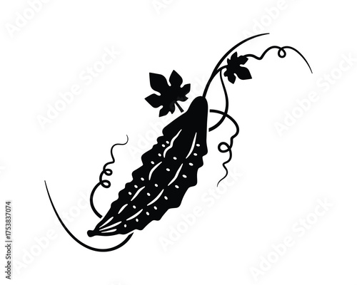 Bitter Melon Plant Black Glyph Icon Vector Illustration