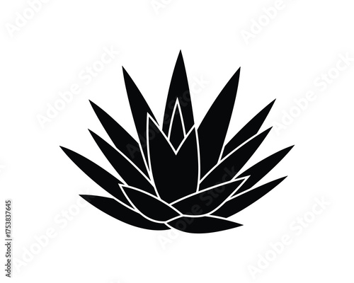 Black silhouette of an Agave plant or succulent, Vector Illustration
