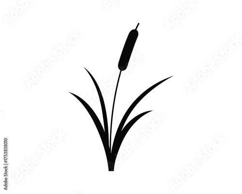 Cattail Plant with Reeds Vector Illustration