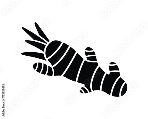 Ginger Root Black Silhouette Vector Illustration