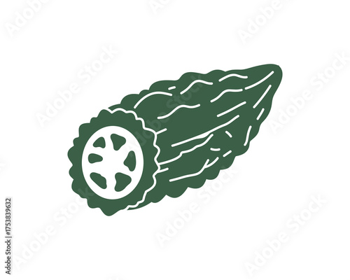Green Bitter Melon with Exposed Cross-Section Vector Illustration