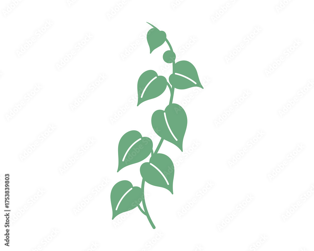 Fototapeta premium Green plant stem with leaves and small berries vector illustration