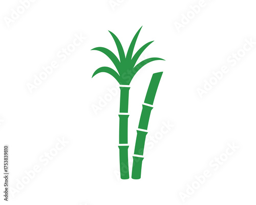 Green Sugarcane Stalks and Leaves Vector Illustration