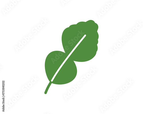 Kaffir Lime Leaf Green Citrus Vector Illustration
