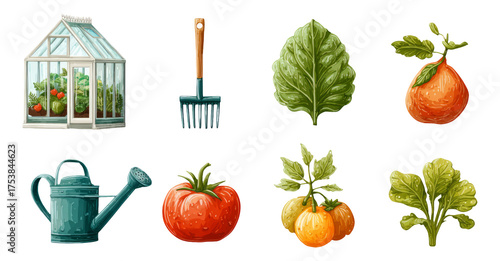 Colorful vegetable and gardening tools illustration on transparent background