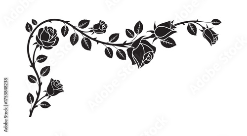 black and white flowers