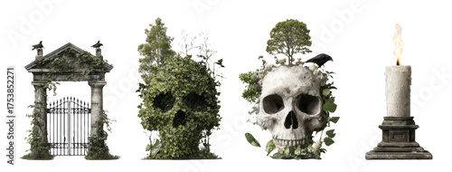 Artistic Collection of Nature-Inspired Elements Featuring Skull and Candle Designs
