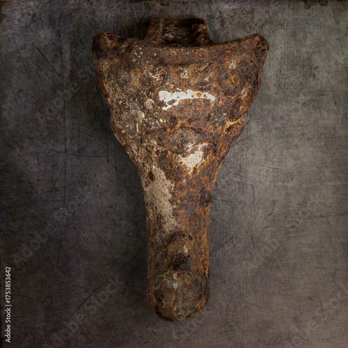old rusty tool