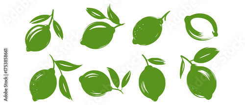 Green limes with leaves brush stroke style fruit