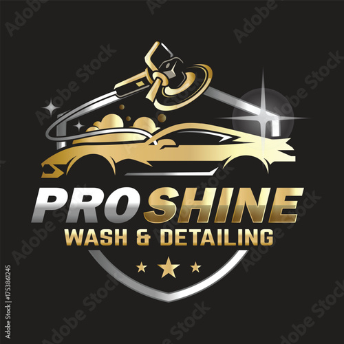 Car Paint and Detailing Salon Logo Design Template.