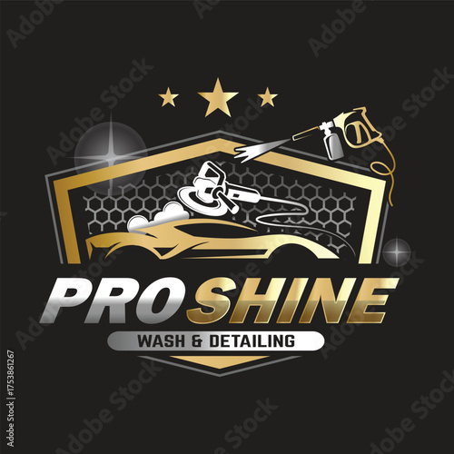 Car Paint and Detailing Salon Logo Design Template.