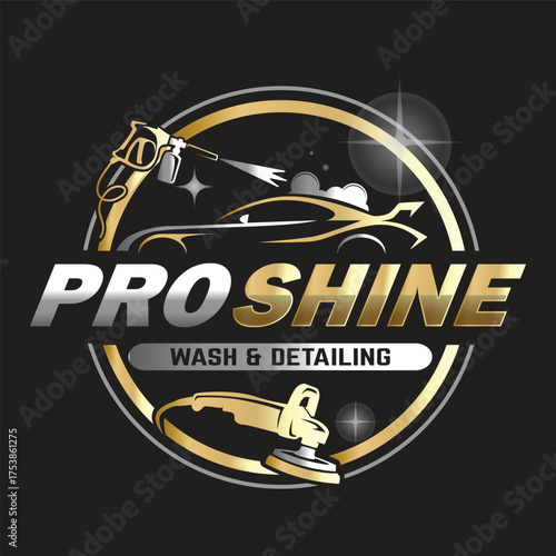 Car Paint and Detailing Salon Logo Design Template.