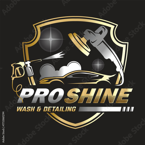 Car Paint and Detailing Salon Logo Design Template.