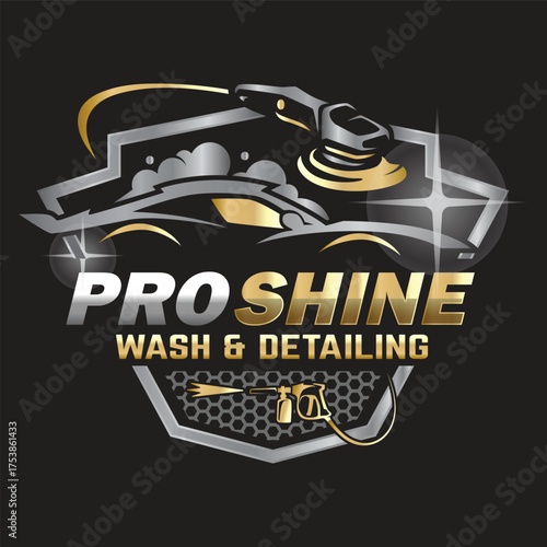 Car Paint and Detailing Salon Logo Design Template.