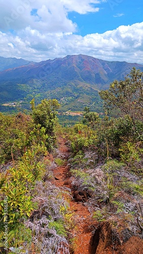 Canvas Print The farms in the valley of la Coulee, New Caledonia.