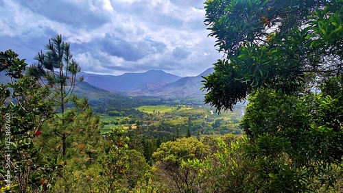 The farms in the valley of la Coulee, New Caledonia.