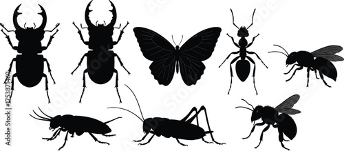  Collection of insect silhouettes including beetles, butterfly, ant, bee, cricket, and cockroach, vector illustration for nature, wildlife, and biology design themes