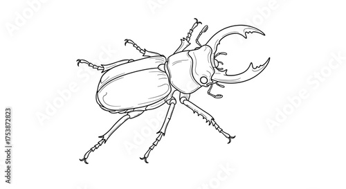A detailed black and white line drawing of a stag beetle with prominent mandibles.