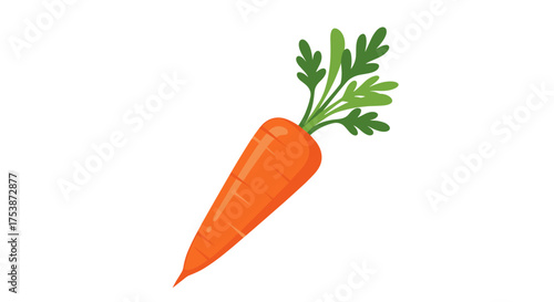A healthy orange carrot with green leaves on top, perfect for cooking and eating.