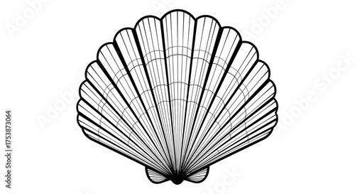 An intricate detailed illustration of a single scallop shell standing upright.
