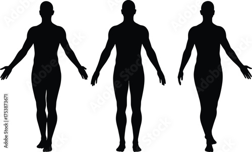  Human body silhouette, full-length male figure, anatomical posture, standing pose, medical reference, physical assessment, black vector illustration, ergonomic design