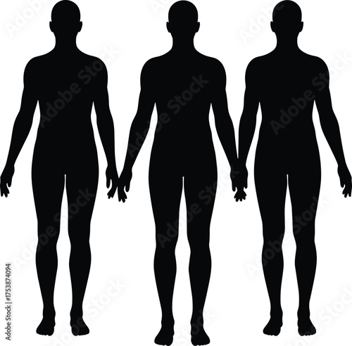  Human silhouette, standing posture, black vector, white background, identical figures, anatomical reference, symmetry, minimal design, adult form, front view, clean outline