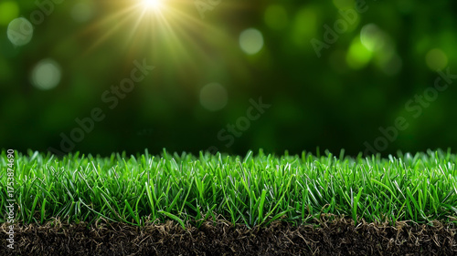 Vibrant green field and blurred light create feeling of natural serenity and tranquility, offering peaceful, refreshing and hope image