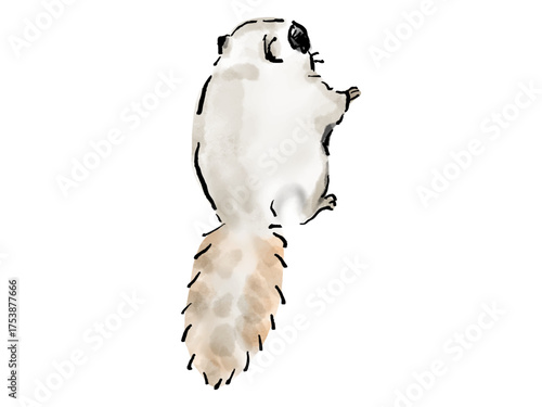 エゾモモンガ　後ろ姿　かわいい絵本風イラスト