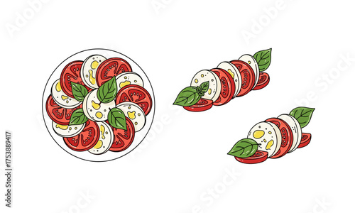 Caprese Salad with Tomato, Mozzarella, and Basil – Food Illustration