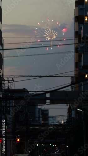 隅田川花火大会　2025年　縦動画