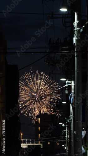 隅田川花火大会　2025年　縦動画