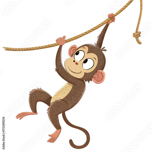 Swinging macaque monkey on a rope png swinging png macaque png monkey png rope png primate png animal png transparent background