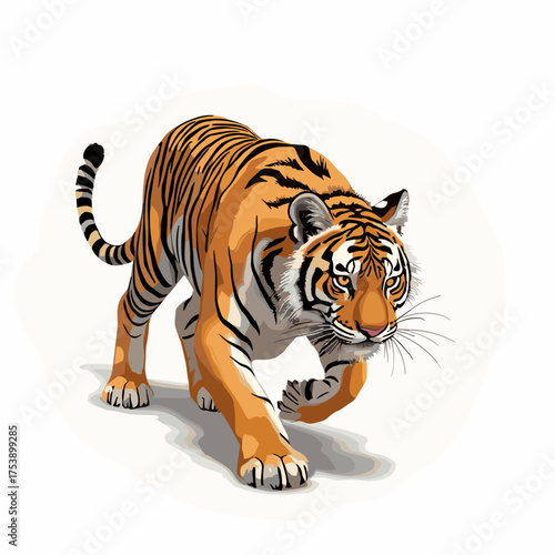 Bengal tiger prowling forward with focused intensity ready to pounce on its prey
