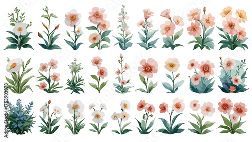 Botanical Garden Pattern Vector collection showcasing artistic botanical elements with refined textures, soft color palettes, and timeless elegance — ideal Flower Illustration Vectors.